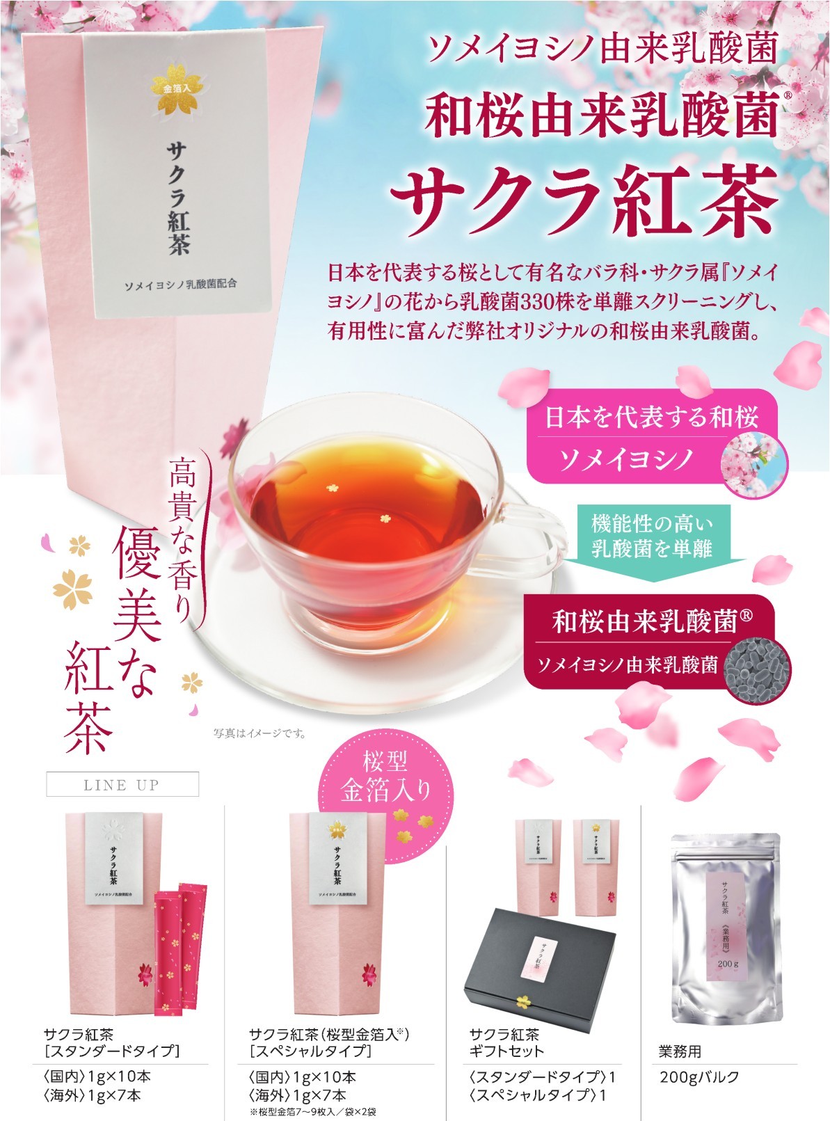 サクラ紅茶
